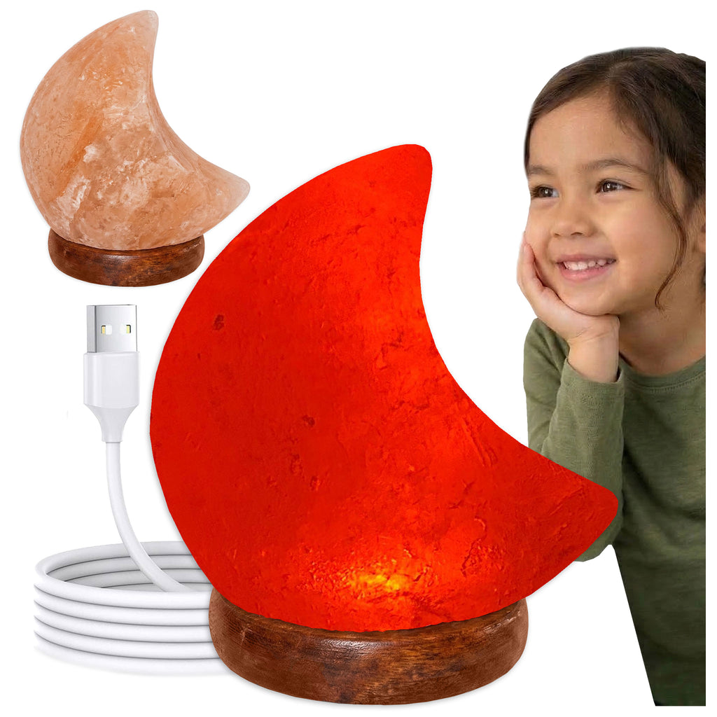 Himalaya Salzlampe Mond Mini Rosa USB, ca. 650g mit Holzsockel