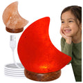 Himalaya Salzlampe Mond Mini Rosa USB, ca. 650g mit Holzsockel