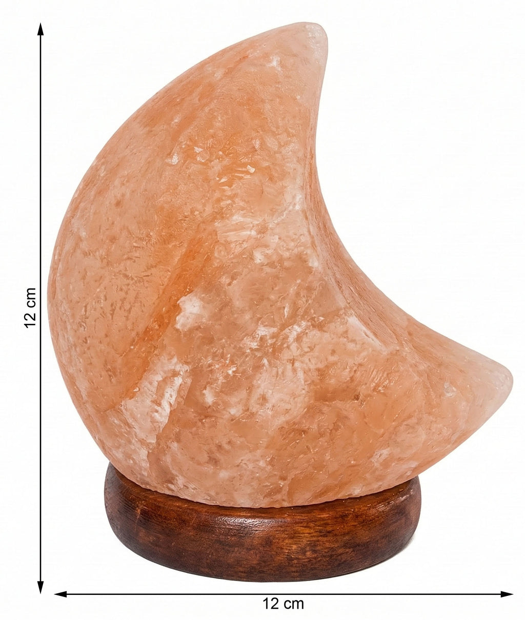 Himalaya Salzlampe Mond Mini Rosa USB, ca. 650g mit Holzsockel